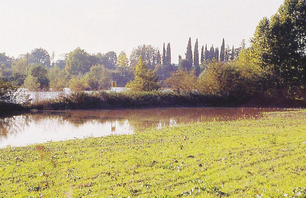 “Compriamoci il parco”: i cittadini contro la costruzione di 4 grattacieli “Compriamoci il parco”: i cittadini contro la costruzione di 4 grattacieli