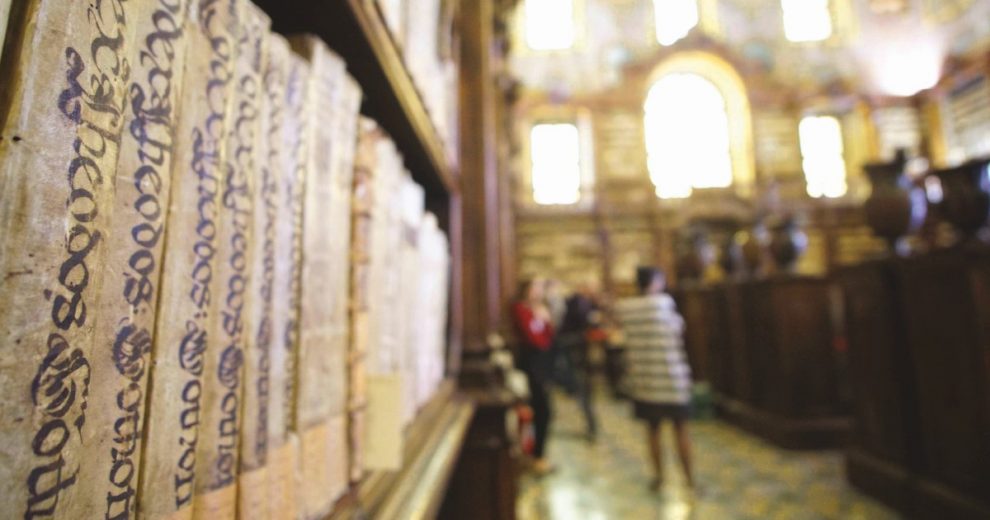 Il bibliotecario non c’è o è precario: l’agonia di un servizio pubblico