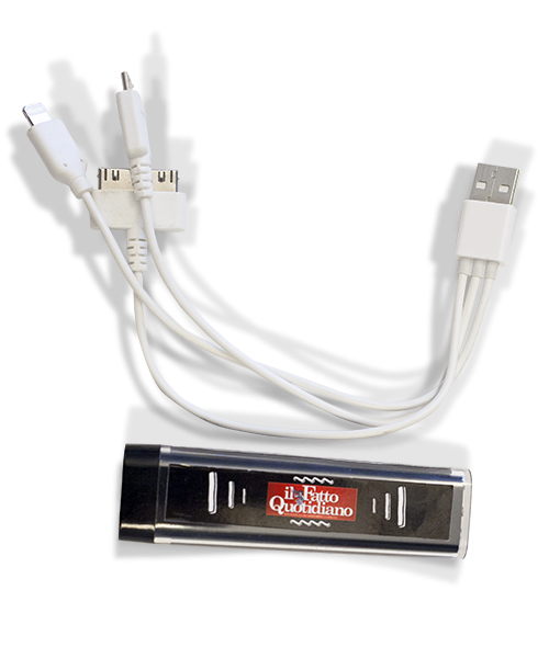 Carica Batterie